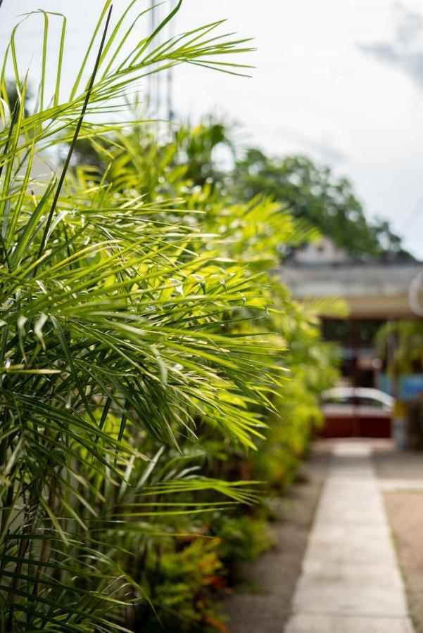 Casa Sabina Bacalar Hotell Exteriör bild